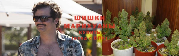mdpv Верхний Тагил