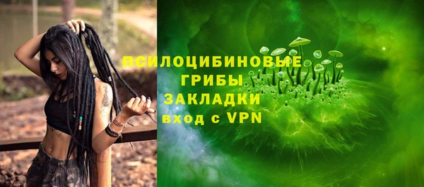 прущий лед Богородицк