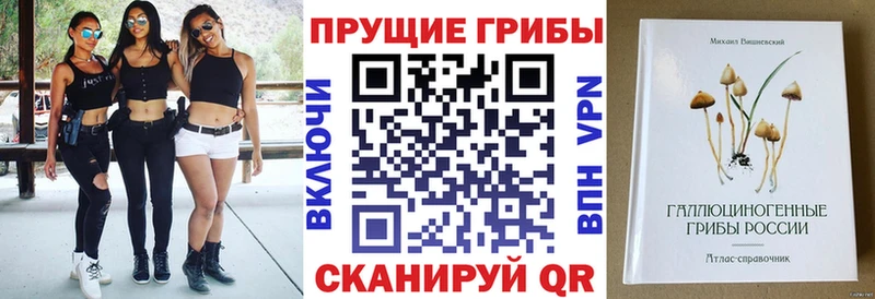 Галлюциногенные грибы Psilocybine cubensis  продажа наркотиков  Калининск 